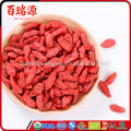 Hot selling dried fruit goji berries protein fight cancer goji berry extract